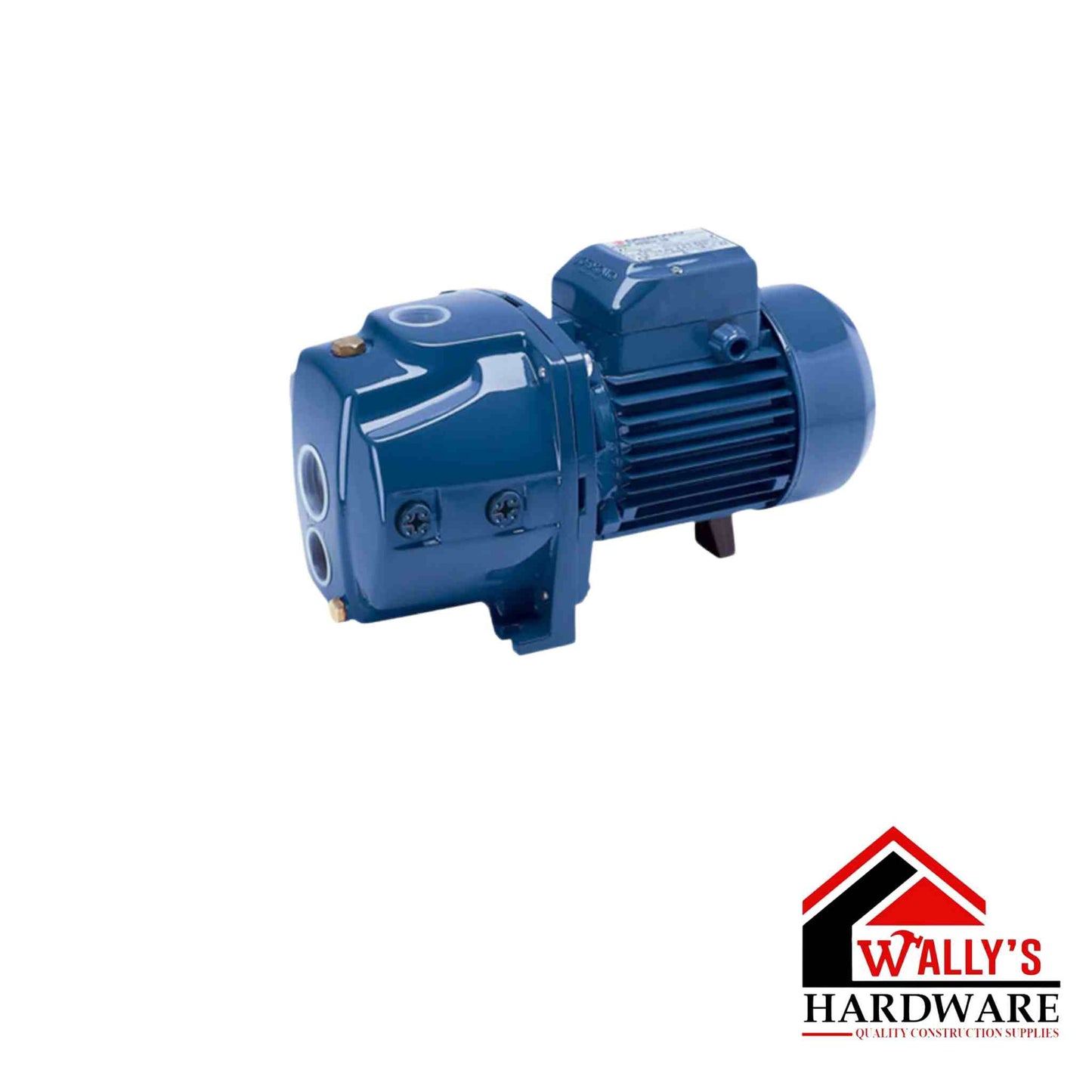 Pedrollo Deep Well Water Pump 1 HP