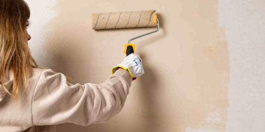 Choosing the Right Paint Type From A Hardware Store in Zamboanga City