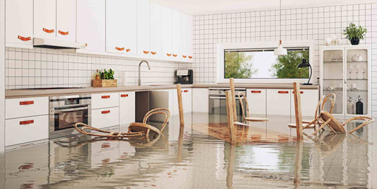 Essential Home Repair and Cleanup Tools for Post-Flood Recovery