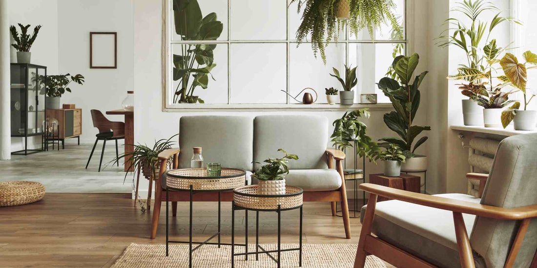 Scandinavian Style: Clean Lines and Cozy Vibes